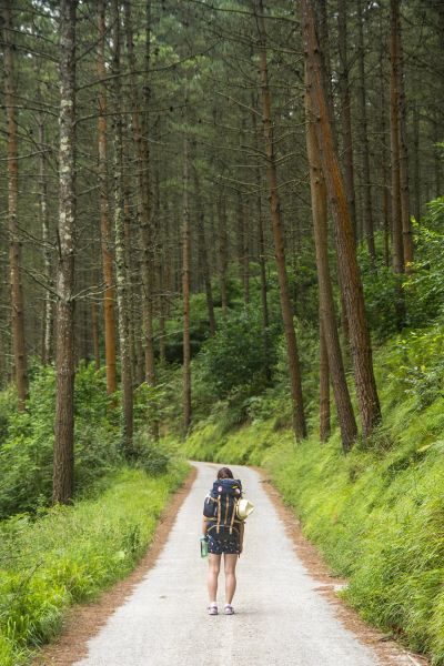 Wandern in der Umgebung von Königsbrunn, Bayern